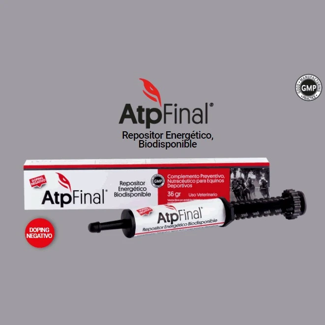 Atp Final