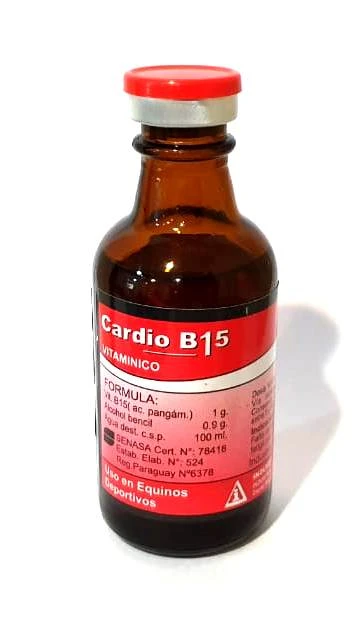 CARDIO B15