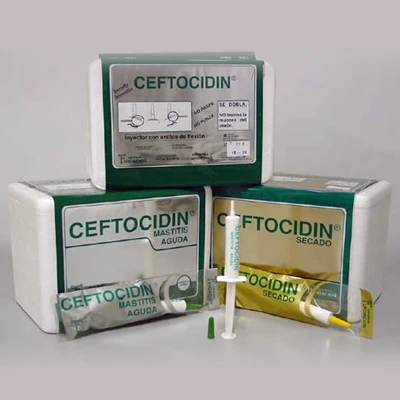 Ceftocidin Secado