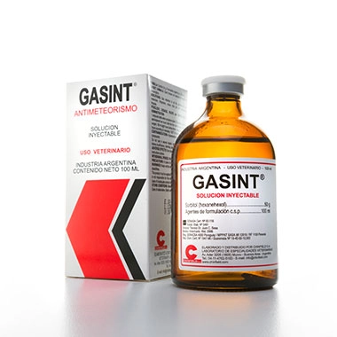 Gasint