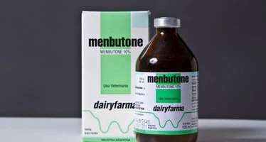 Membutone