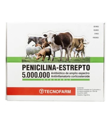 Penicilina Estrepto 5.000.000