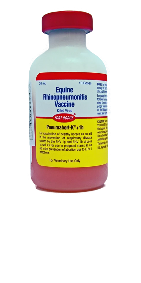 Pneumoabort K+1b