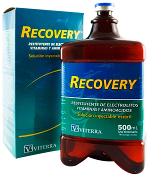 Recovery