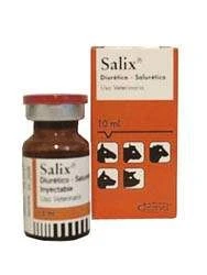Salix