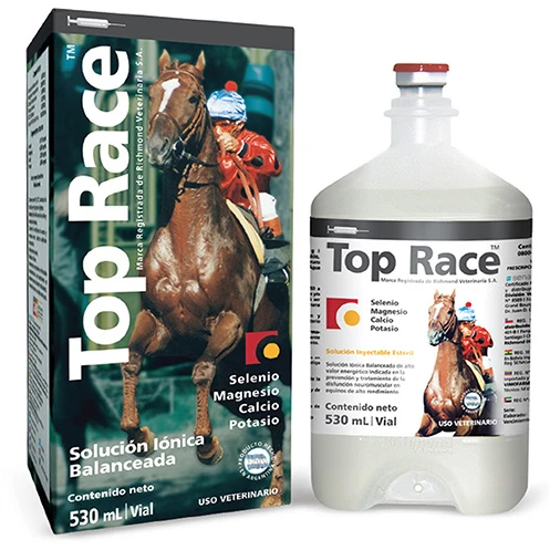 Top Race