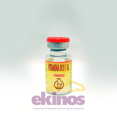 Vitamina B15 1g